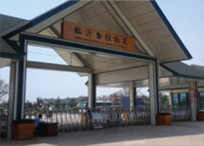 燃气锅炉 临沂市动物园-260KW1台 350KW1台