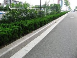 路沿石